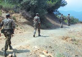Batna : Destruction d’une casemate et récupération d’armes 
