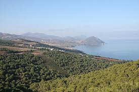 Deux terroristes abattus à Tipaza 