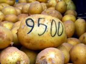 Le prix de la pomme de terre n'a pas baissé comme annoncé : Les explications du ministère du Commerce 