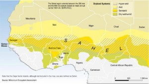 Terrorisme au Sahel : Les «chouyoukh» accusent la France et le Qatar