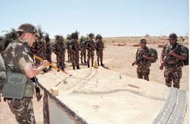 24 contrebandiers arrêtés par l'ANP à El-Oued et Tamanrasset