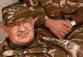 Gaïd Salah salue l'ANP pour l'élimination de plusieurs dangereux terroristes