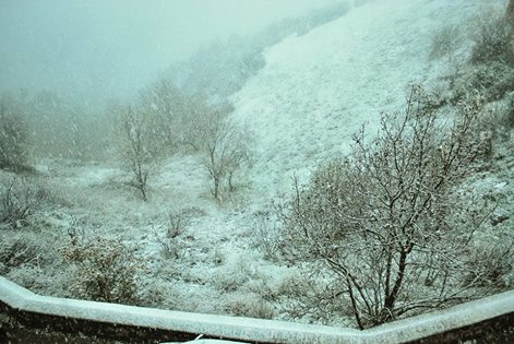 Pluies, vents et neige sur les régions du Nord de l'Algérie jusqu'à jeudi