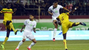 CAN-2015 (Gr C) Algérie - Afrique du Sud / J-2 : dernière ligne droite pour les Verts