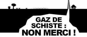 Gaz de schiste : des représentants du président Bouteflika dimanche à Ain Salah