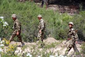 12 casemates terroristes détruites par l'ANP à Bouira et Bordj Bou Arreridj