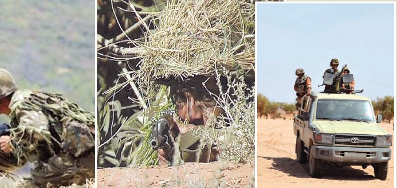 Algérie : 242 contrebandiers arrêtés et saisie d'un important lot d'armes en un mois