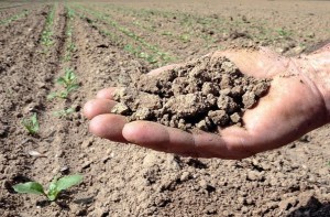 L’Algérie doit se préparer face aux impacts négatifs du réchauffement climatique horizon 2020/2025