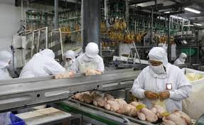 Algérie : L’industrie agroalimentaire emploie 140.000 personnes