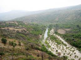 6 terroristes abattus à Azazga (Tizi Ouzou) (Actualisé)