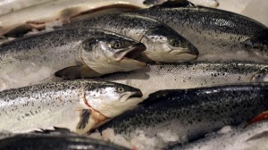 Exportation et flambée des prix : Le poisson algérien préfère l'assiette des étrangers