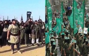 La guerre éclate entre Daech et le Hamas à Gaza
