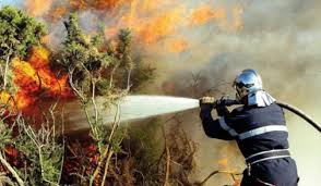 550 brigades mobiles et 20.000 hommes pour protéger 3 millions ha de forêts contre les incendies