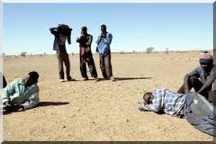 Les restes de migrants en route pour l'Algérie découverts au Niger