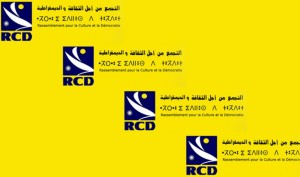 Ghardaia : Pour le RCD "l'Etat est responsable de la sécurité des personnes et des biens"