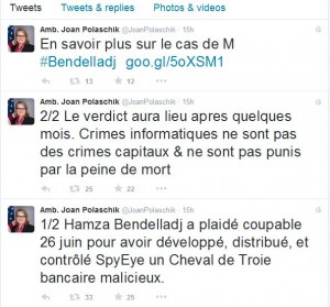 Affaire du hacker Hamza Bendelladj : L'ambassadrice US à Alger réagit