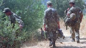 Un terroriste abattu à Tipaza