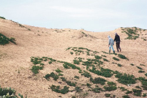COP21/ L'Algérie confrontée à la recrudescence d’évènements climatiques extrêmes
