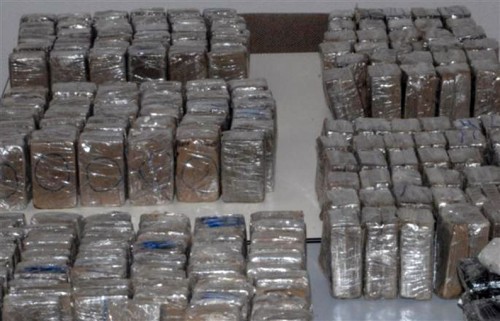 Le cannabis marocain alimente les trois-quarts de la consommation française