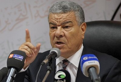 Saâdani : "le pouvoir parallèle et ses relais médiatique et politique sont tombés"