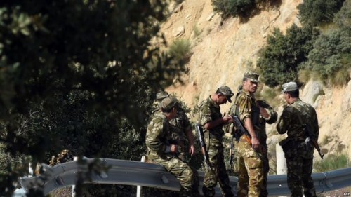 Un groupe de soutien au terrorisme démantelé à Tebéssa