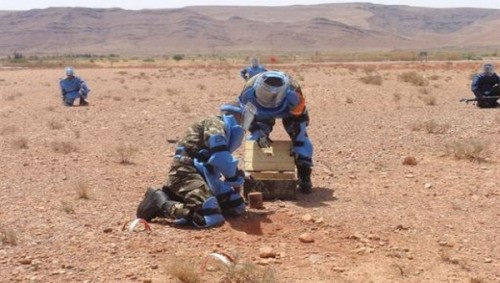 2004-2015 : Destruction de plus d'un million de mines et déminage de 10.000 ha de terrain