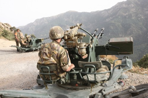 157 terroristes dont 10 émirs abattus en 2015