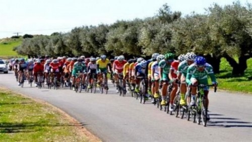 Cyclisme : départ du Grand Tour d'Algérie-2016