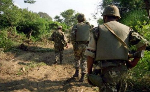 Des refuges pour terroristes découverts et détruits à Tizi Ouzou