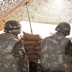 Soutien au terrorisme : 34 personnes arrêtées à El Oued et Tizi-Ouzou