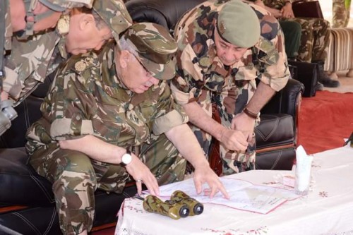 Exercice tactique de l'ANP à Illizi (vidéo)