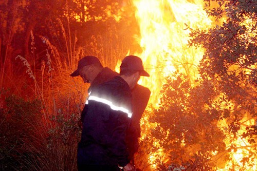 300 ha de couvert végétal détruits par les feux en 72 heures
