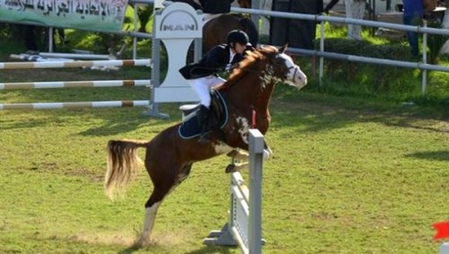 CSI Mostaganem, Concours de Saut de l’Injustice ! Injustice, Iniquité, Inégalité…