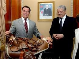 ONG R20 : Arnold Schwarzenegger chez Abdelmalek Sellal