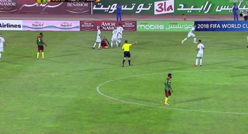 Coupe du monde : des Verts pas mûrs face à des lions toujours indomptables