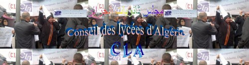 Le CLA appelle à une grève nationale des lycées les 17/18 et 24/25 octobre